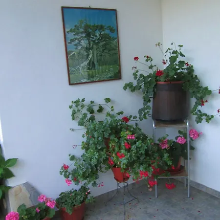 B&B Sole del Pollino-2